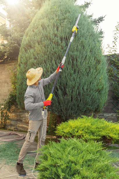 Lawn Grading and Leveling in Monfort Heights, OH